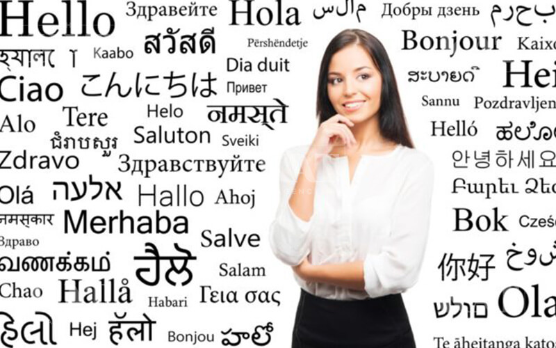 translators 4
